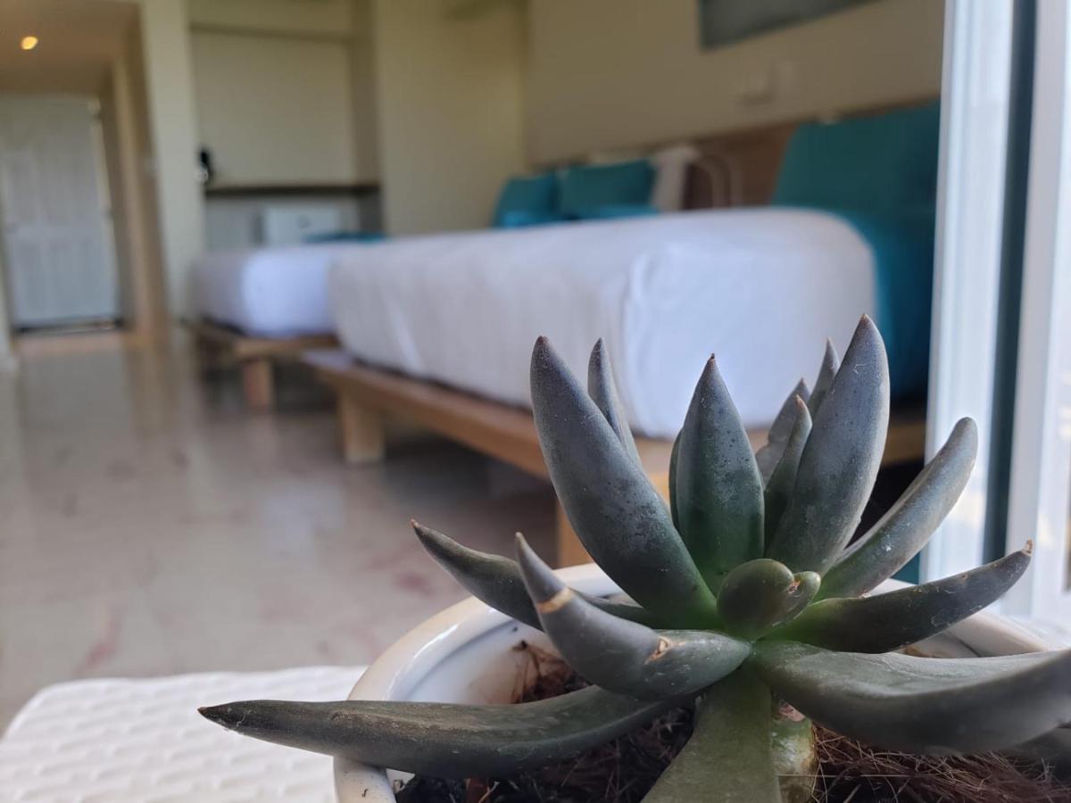 Paradise Island Beach Resort 푼타 루시아 외부 사진